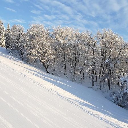 Resort Inn Murata 이야마 외부 사진